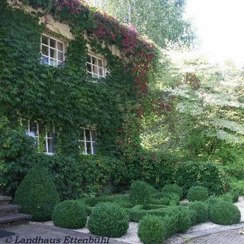 Landhaus Ettenbuehl Bed And Breakfast Bad Bellingen Εξωτερικό φωτογραφία
