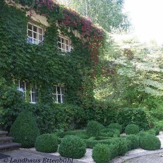 Landhaus Ettenbuehl Bed And Breakfast Bad Bellingen Εξωτερικό φωτογραφία